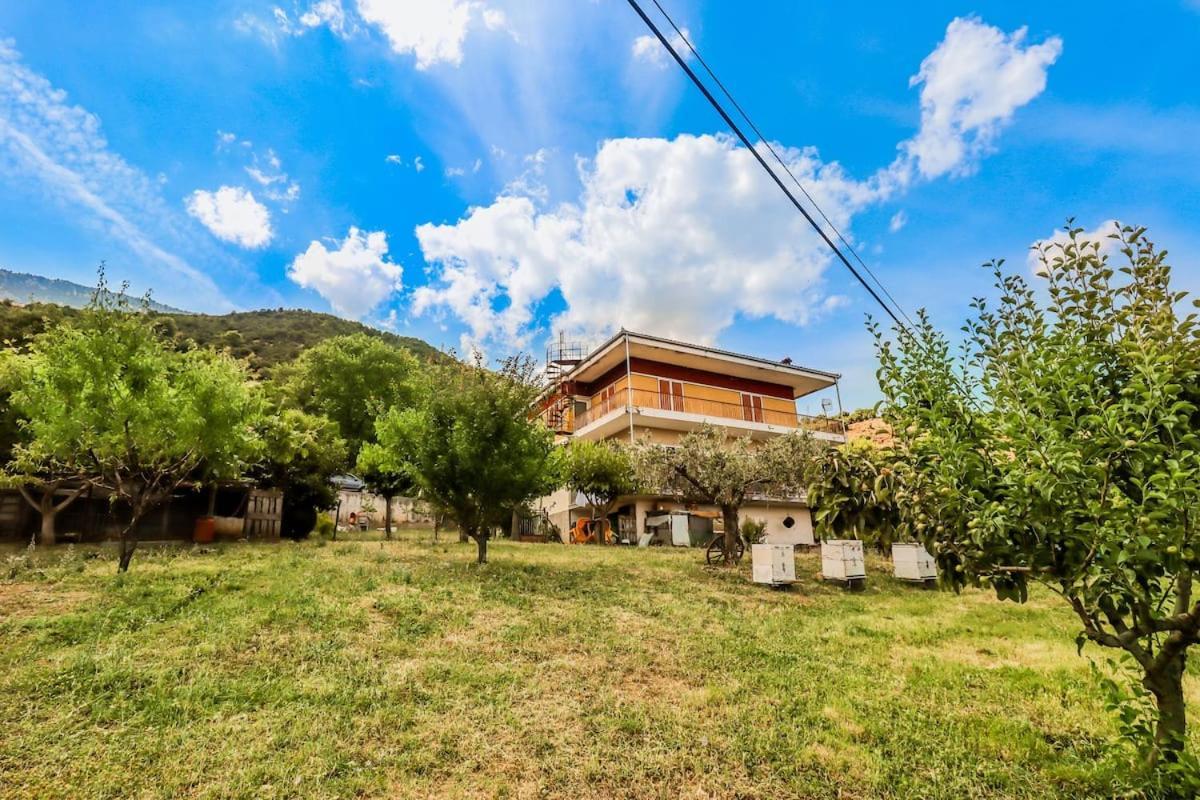 Country Home Genesi 20 min from Trikala Eksteriør bilde