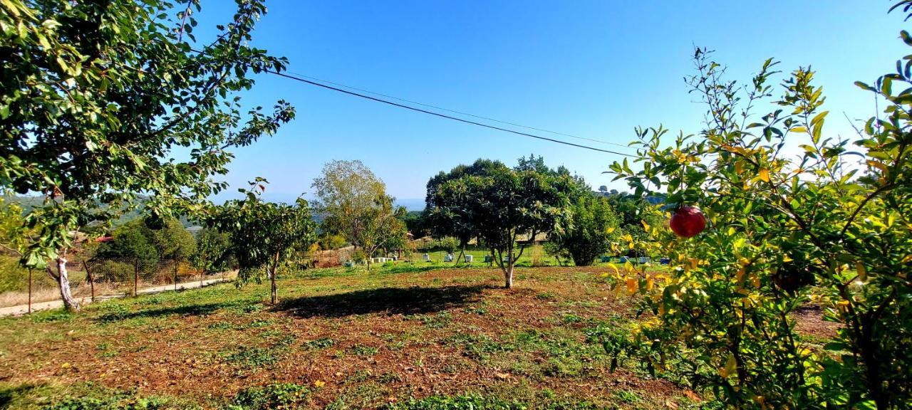 Country Home Genesi 20 min from Trikala Eksteriør bilde