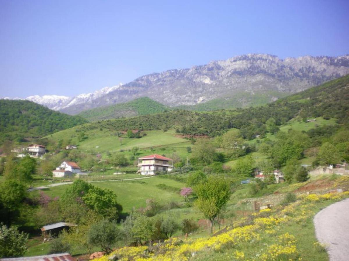 Country Home Genesi 20 min from Trikala Eksteriør bilde