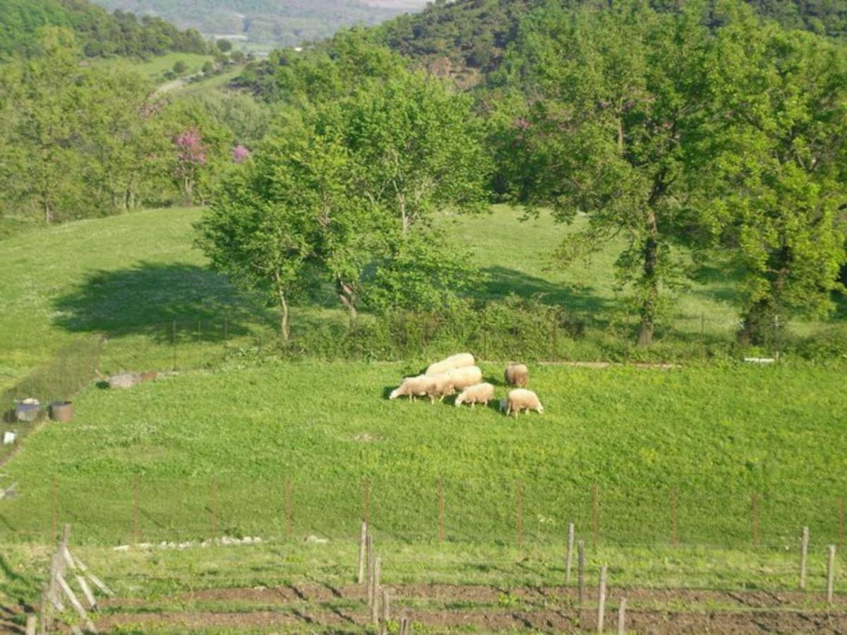 Country Home Genesi 20 min from Trikala Eksteriør bilde